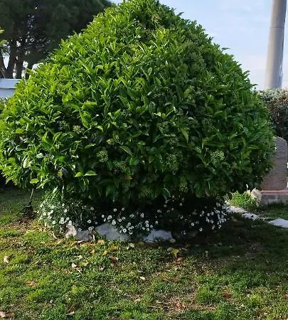 Alloggio per agriturismo Casa Barone *