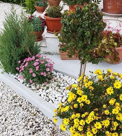 Casa Barone Farm stay Roccadaspide