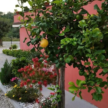 Farm stay Casa Barone Roccadaspide