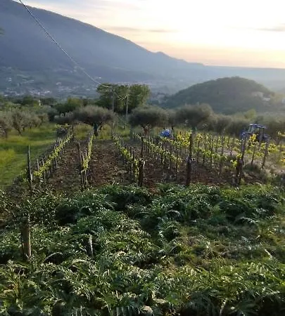 Casa Barone Farm stay Roccadaspide
