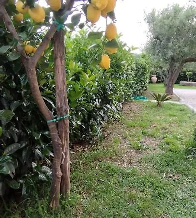 Casa Barone