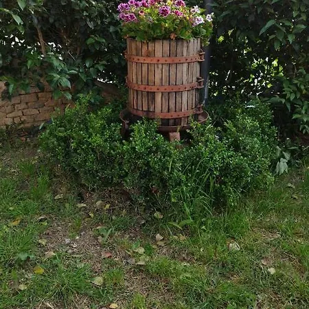 Фермерский дом Casa Barone *