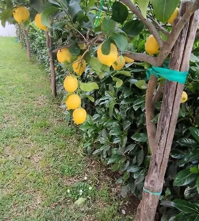 Alloggio per agriturismo Casa Barone Roccadaspide