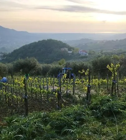 Casa Barone Roccadaspide