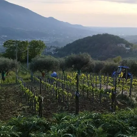 Casa Barone *