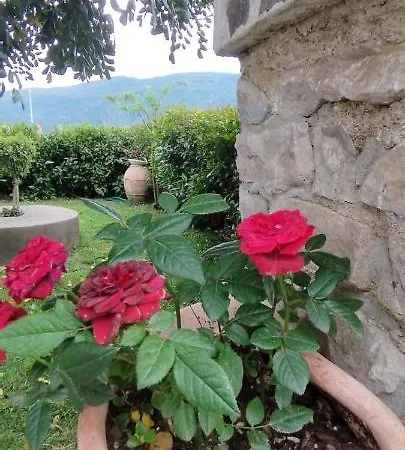 Casa Barone Farm stay
