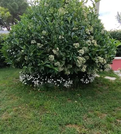 Alloggio per agriturismo Casa Barone