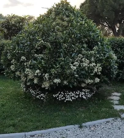 Casa Barone Farm stay *